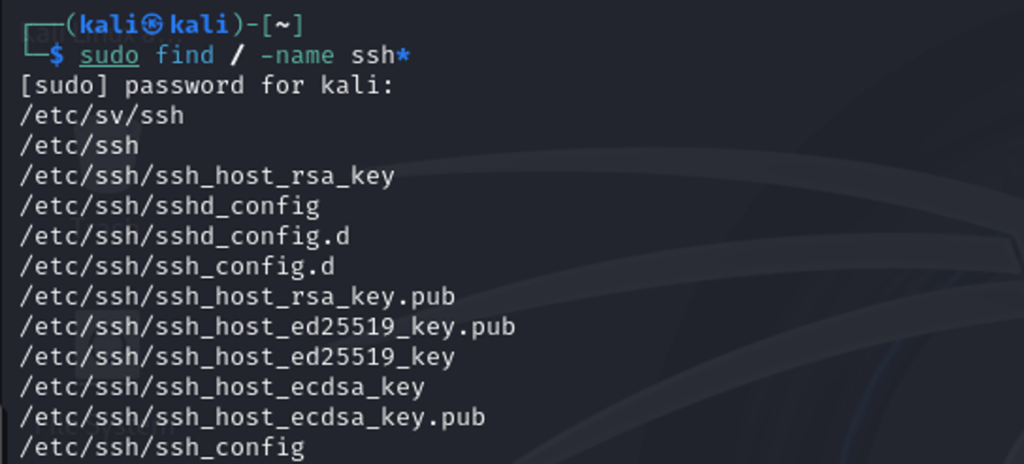 Salida real del comando find en Kali Linux buscando archivos ssh